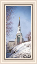 Load image into Gallery viewer, Boston Morning Snow Vertical
