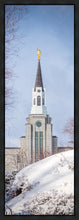 Load image into Gallery viewer, Boston Morning Snow Vertical
