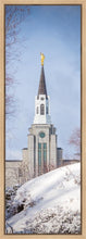 Load image into Gallery viewer, Boston Morning Snow Vertical
