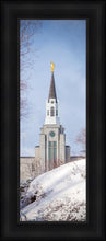 Load image into Gallery viewer, Boston Morning Snow Vertical
