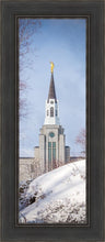 Load image into Gallery viewer, Boston Morning Snow Vertical
