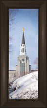 Load image into Gallery viewer, Boston Morning Snow Vertical
