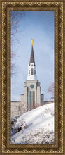 Load image into Gallery viewer, Boston Morning Snow Vertical
