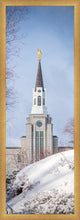 Load image into Gallery viewer, Boston Morning Snow Vertical
