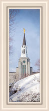 Load image into Gallery viewer, Boston Morning Snow Vertical
