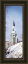 Load image into Gallery viewer, Boston Morning Snow Vertical
