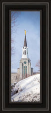 Load image into Gallery viewer, Boston Morning Snow Vertical
