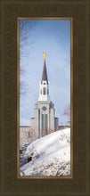 Load image into Gallery viewer, Boston Morning Snow Vertical
