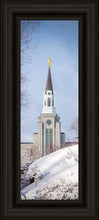 Load image into Gallery viewer, Boston Morning Snow Vertical
