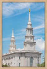 Load image into Gallery viewer, Philadelphia Daytime Skies
