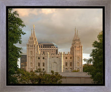 Load image into Gallery viewer, Salt Lake Golden Foundations

