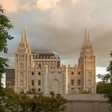 Load image into Gallery viewer, Salt Lake Golden Foundations
