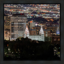 Load image into Gallery viewer, Salt Lake Temple City View

