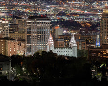 Load image into Gallery viewer, Salt Lake Temple City View
