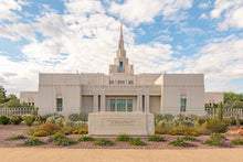 Load image into Gallery viewer, Phoenix Temple Desert Oasis
