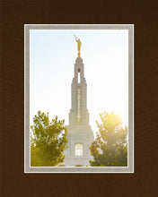 Load image into Gallery viewer, Redlands Temple Heavenly Glow
