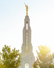 Load image into Gallery viewer, Redlands Temple Heavenly Glow
