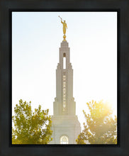 Load image into Gallery viewer, Redlands Temple Heavenly Glow
