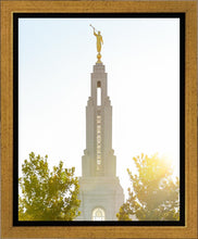 Load image into Gallery viewer, Redlands Temple Heavenly Glow
