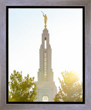 Load image into Gallery viewer, Redlands Temple Heavenly Glow
