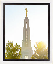 Load image into Gallery viewer, Redlands Temple Heavenly Glow
