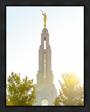 Load image into Gallery viewer, Redlands Temple Heavenly Glow

