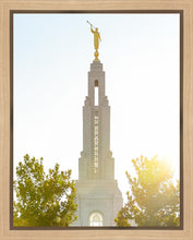 Load image into Gallery viewer, Redlands Temple Heavenly Glow
