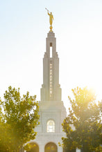 Load image into Gallery viewer, Redlands Temple Heavenly Glow
