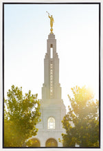 Load image into Gallery viewer, Redlands Temple Heavenly Glow
