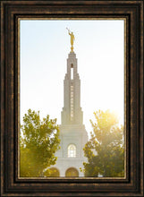 Load image into Gallery viewer, Redlands Temple Heavenly Glow
