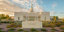Load image into Gallery viewer, Phoenix Temple Golden Foundations
