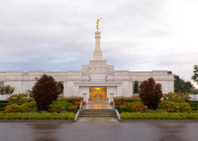 Load image into Gallery viewer, Detroit Temple After The Storm
