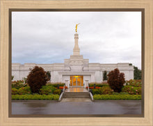 Load image into Gallery viewer, Detroit Temple After The Storm
