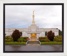 Load image into Gallery viewer, Detroit Temple After The Storm
