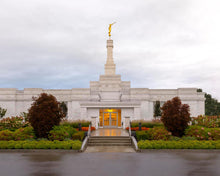 Load image into Gallery viewer, Detroit Temple After The Storm
