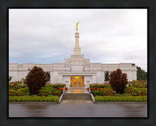 Load image into Gallery viewer, Detroit Temple After The Storm
