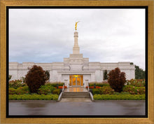 Load image into Gallery viewer, Detroit Temple After The Storm
