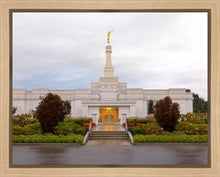 Load image into Gallery viewer, Detroit Temple After The Storm
