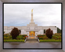 Load image into Gallery viewer, Detroit Temple After The Storm
