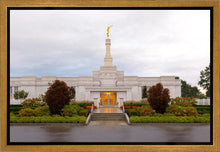 Load image into Gallery viewer, Detroit Temple After The Storm
