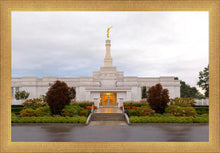Load image into Gallery viewer, Detroit Temple After The Storm
