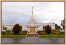 Load image into Gallery viewer, Detroit Temple After The Storm
