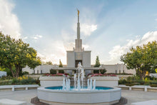 Load image into Gallery viewer, Denver Temple Eternal Fountain
