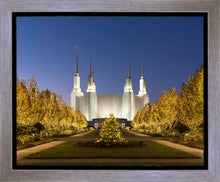 Load image into Gallery viewer, Washington DC Golden Christmas

