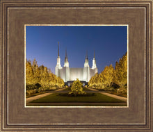 Load image into Gallery viewer, Washington DC Golden Christmas
