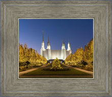 Load image into Gallery viewer, Washington DC Golden Christmas
