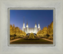 Load image into Gallery viewer, Washington DC Golden Christmas
