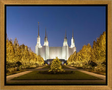 Load image into Gallery viewer, Washington DC Golden Christmas
