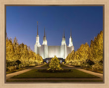 Load image into Gallery viewer, Washington DC Golden Christmas
