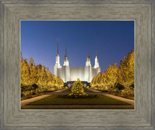 Load image into Gallery viewer, Washington DC Golden Christmas
